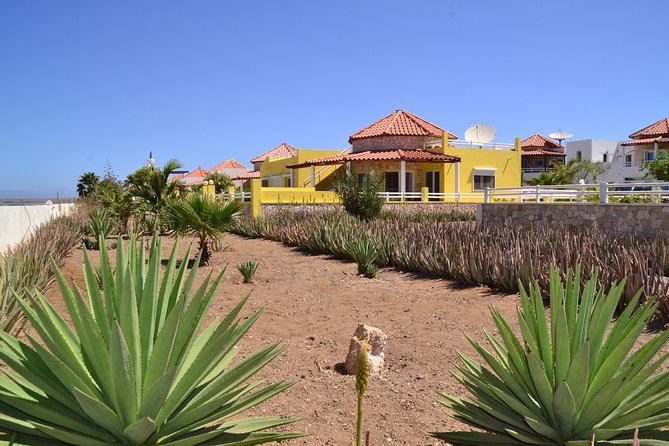 Half-Day Sal Island Tour with Shark Experience from Santa Maria - Murdeira Bay and Monte Leao, the sleeping-lion stop