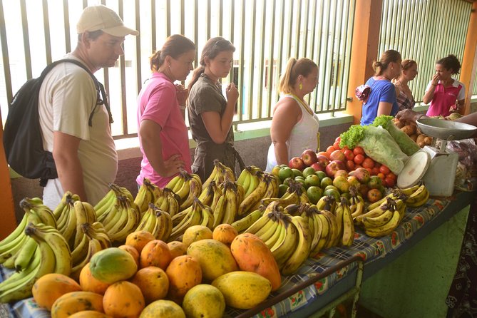 Half-Day Sal Island Tour with Shark Experience from Santa Maria - Pedra de Lume volcano and Terra Boa mirage photo moments