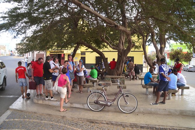 Half-Day Sal Island Tour with Shark Experience from Santa Maria - Getting there and keeping the day moving (9:00 am start)