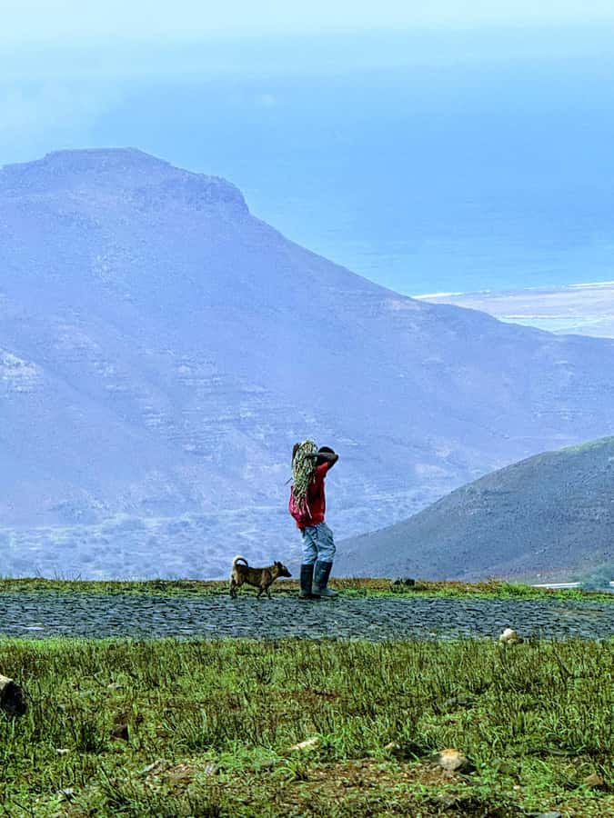 Hike Monte Verde - Key things to know before you go
