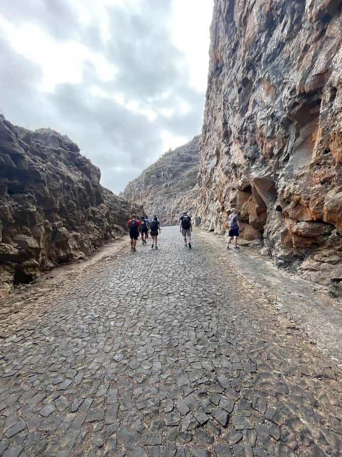 Hike Monte Verde - The guided hike through endemic plants, abandoned homes, and livestock