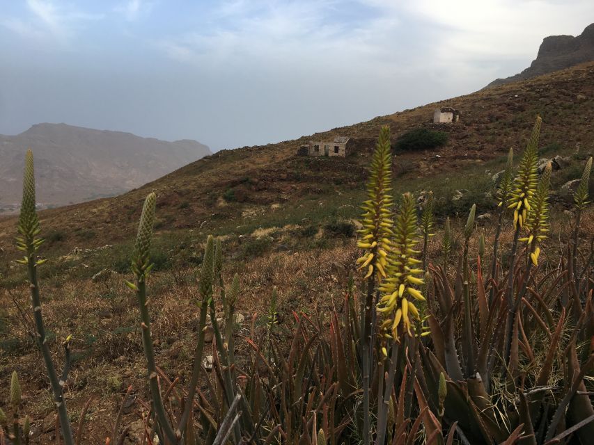 Hike Monte Verde - What to bring, and how to stay comfortable in Monte Verde wind