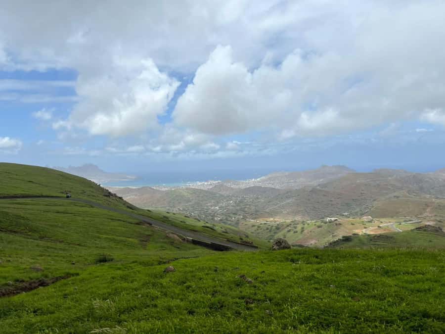 Hike to the highest point of Monte verde - Monte Verde Natural Park: why the plants matter to your walk