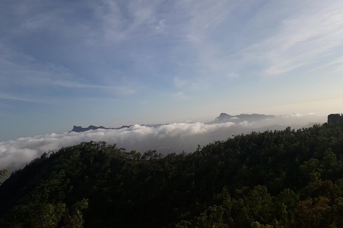 Hikking Natural Park/Serra Malagueta - Price and value: what $87.86 per person really includes
