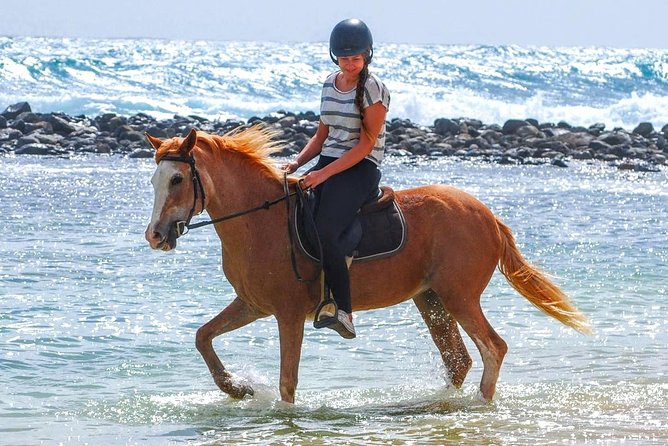 Horse Riding in Sal Island - Cabo Verde - Key points before you go
