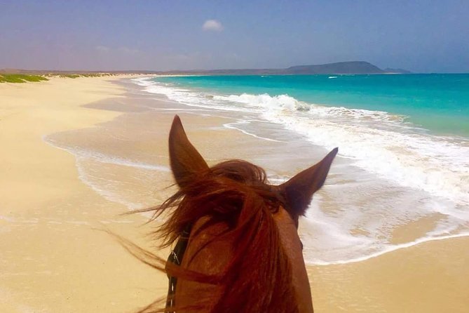 Horse Riding in Sal Island - Cabo Verde - Kite Beach on the longer rides: the part you will remember