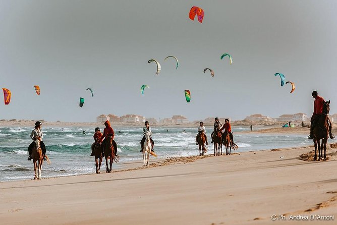 Horse Riding in Sal Island - Cabo Verde - Small group, real attention: guides, pace, and safety rhythm