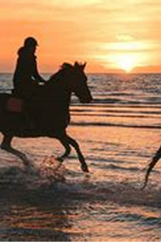Horseback riding in Boavista for beginners - Boavista beach and dune riding made for first-timers