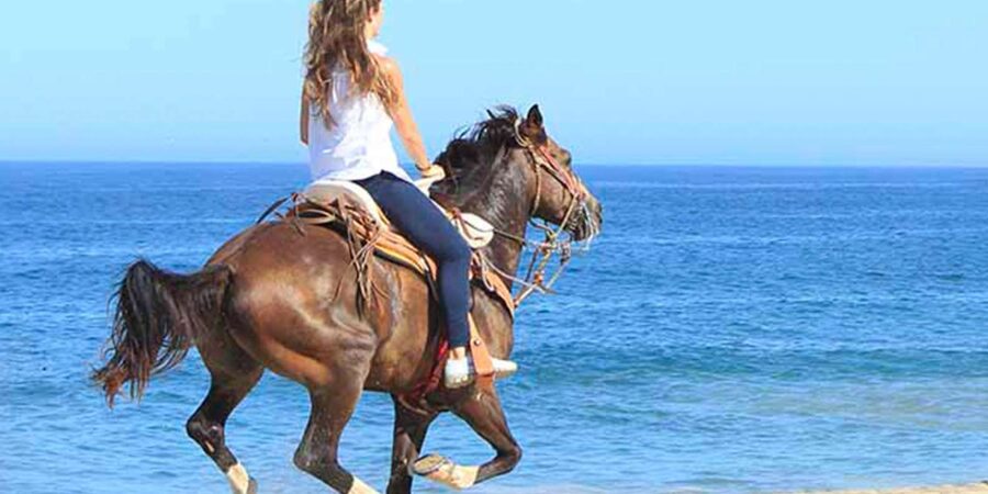 Horseback riding in Boavista for beginners - The pre-ride safety form and briefing, before you mount