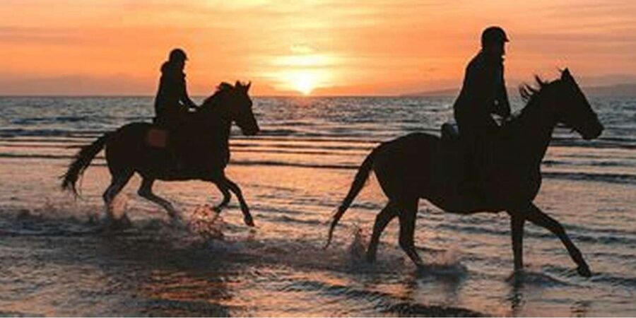 Horseback riding in Boavista for beginners - Price and value: what $81 includes, and what you cover