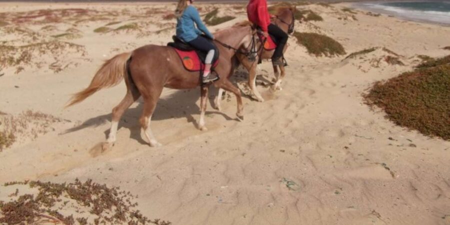 Horseback riding in Boavista for beginners - Horses and safety: what to watch, what to ask