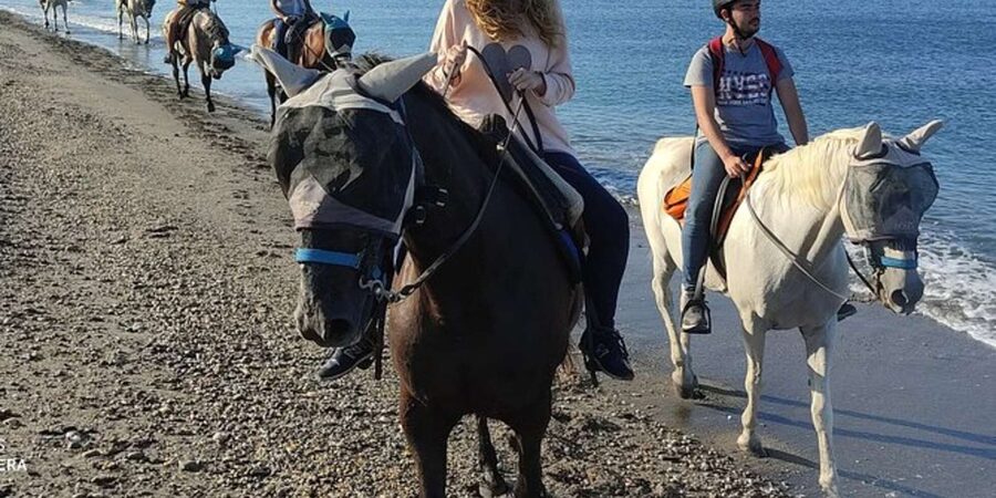 Horseback riding in Boavista for beginners - Where you meet, and how the tour keeps things simple