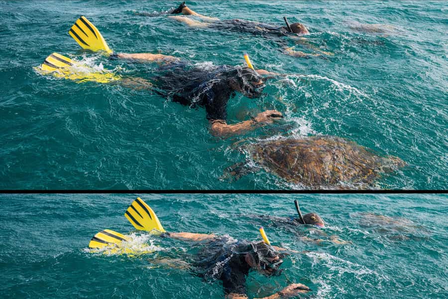 Ilha Do Sal: Snorkeling with Local Guide - Who Should Book This Tour (And Who Should Skip It)