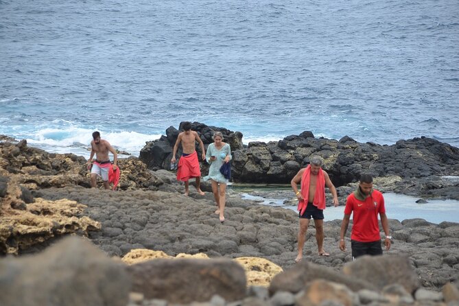 Island Adventure with Shark Experience from Santa Maria - Stop-by-stop: the Sal hits from Ponta Preta to Palmeira