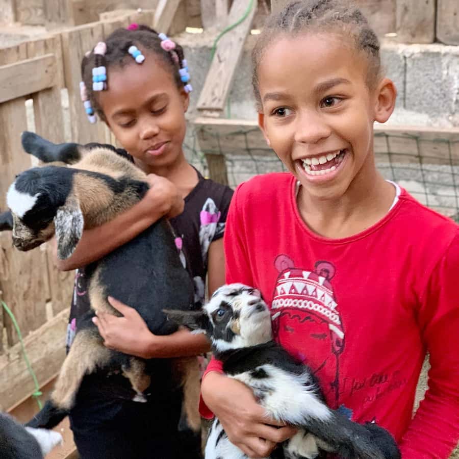 Island tour & cattle & Taste local flavors - Pottery factory: where clay becomes turtles, pots, and gifts