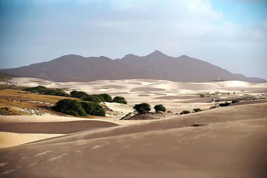 Island tour & cattle & Taste local flavors - The north road drive and the return trip on the Road of 66