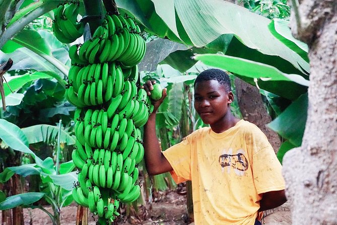 Like Locals: Banana Plantation, and Cuscuz with locals - Key Highlights That Make This Tour Worth Your Time