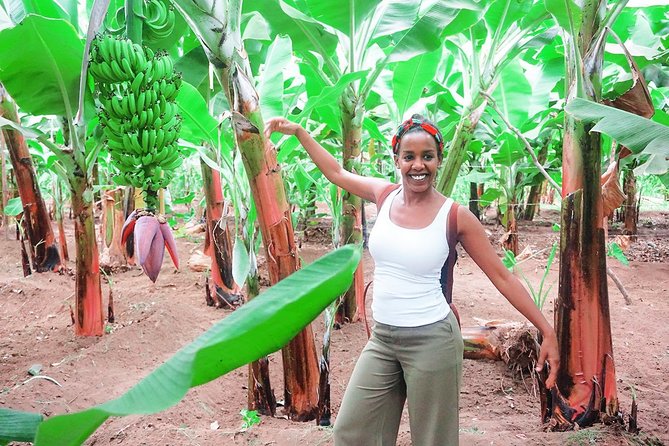 Like Locals: Banana Plantation, and Cuscuz with locals - Rum Culture: Tastings and a Distillery Stop That Adds Context