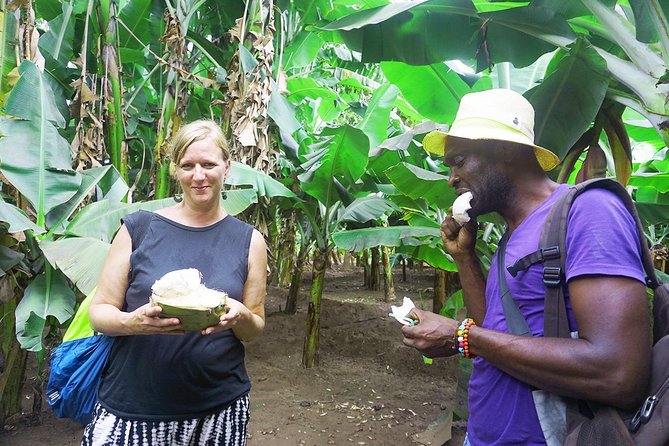 Like Locals: Banana Plantation, and Cuscuz with locals - What the 4-Hour Schedule Feels Like (and How to Prepare)
