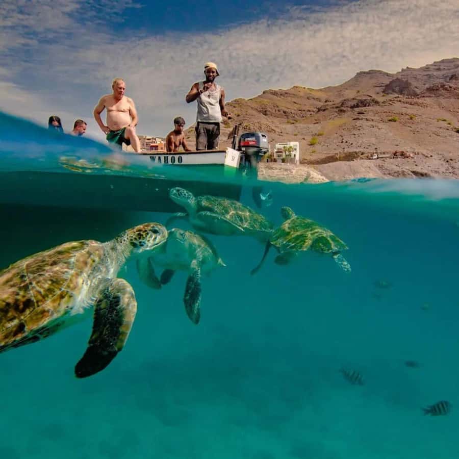 Live Snorkeling & Swimming with Sea Turtles in the Atlantic - From Mindelo pickup to São Pedro beach: the ride that sets the tone