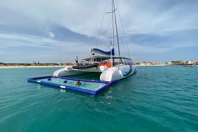 Lounge Catamaran SODADE Half-Day - Wildlife spotting: whales and turtles without pressure