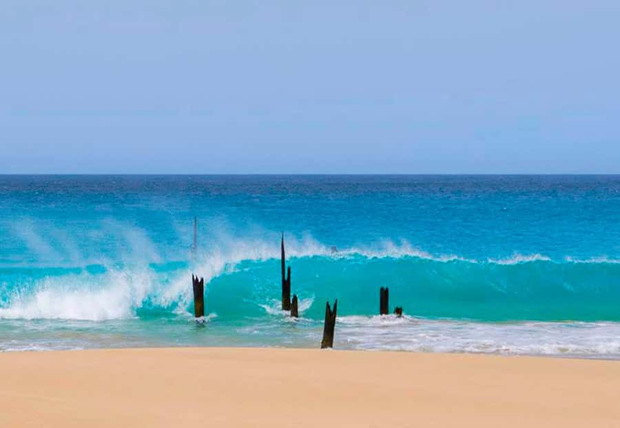 Maio Island: Full-day Guided Tour with Breakfast - Key things I’d circle before you go