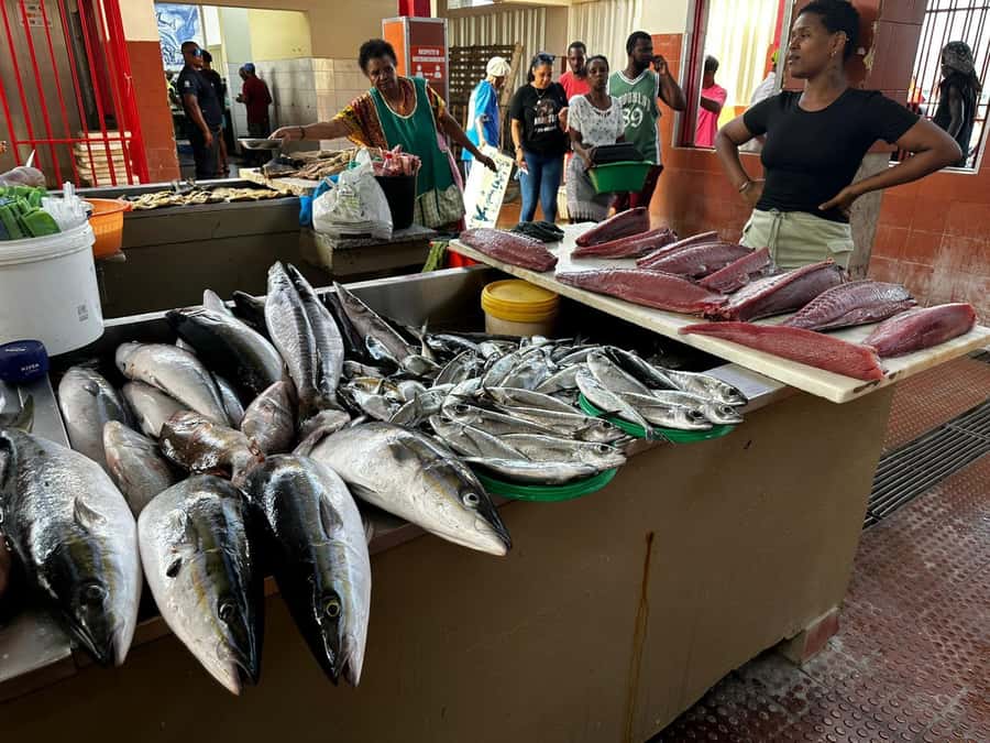 Mindelo: City Tour with Hotel Pickup and Drop-Off - Price and What You Actually Get for About $47
