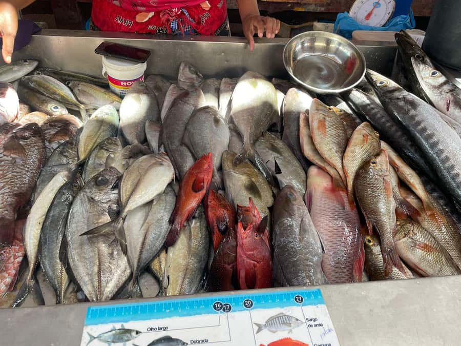 Mindelo City Walking Tour - The Arts and Crafts Market Stop: Shopping With Context