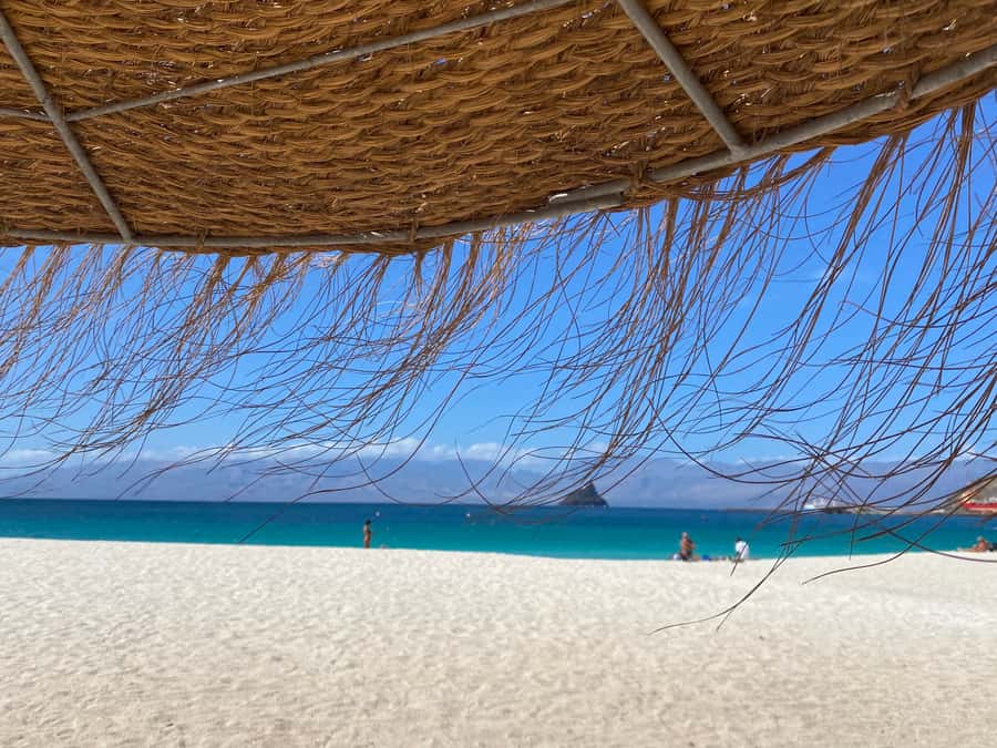 Mindelo: Private Walking Tour with Local Food Tasting - How the Tour Helps You Shop Smart: Souvenirs, Grogue, and Coffee