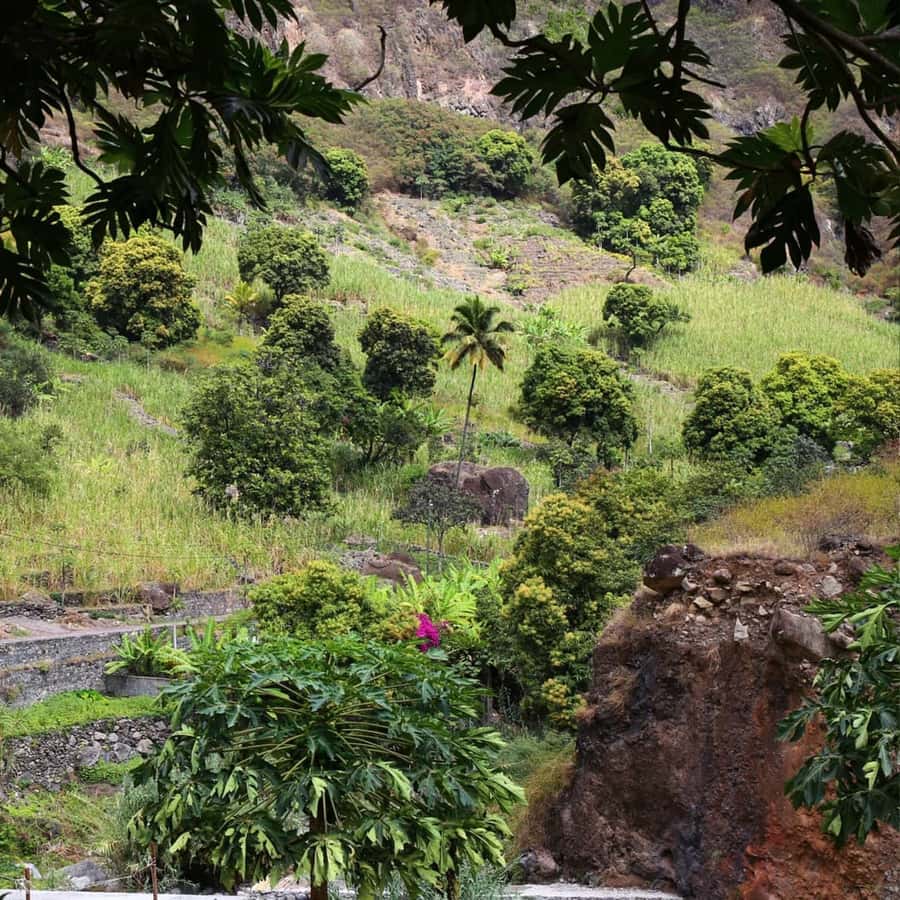 Paúl hike, the green garden - Crops, water, and waterfalls: the Paul Valley farming route