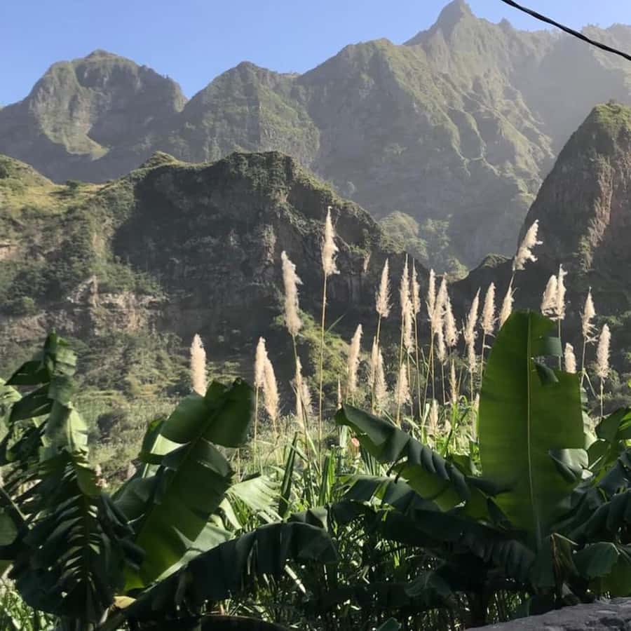 Paúl hike, the green garden - Distillery visit and Cape Verde rum: the payoff at the end