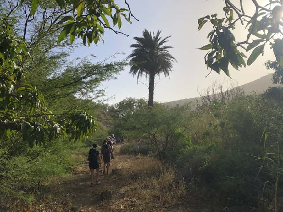 Praia: Baobab Mysterious Tree, Green Valley & Old City Hike - FAQ