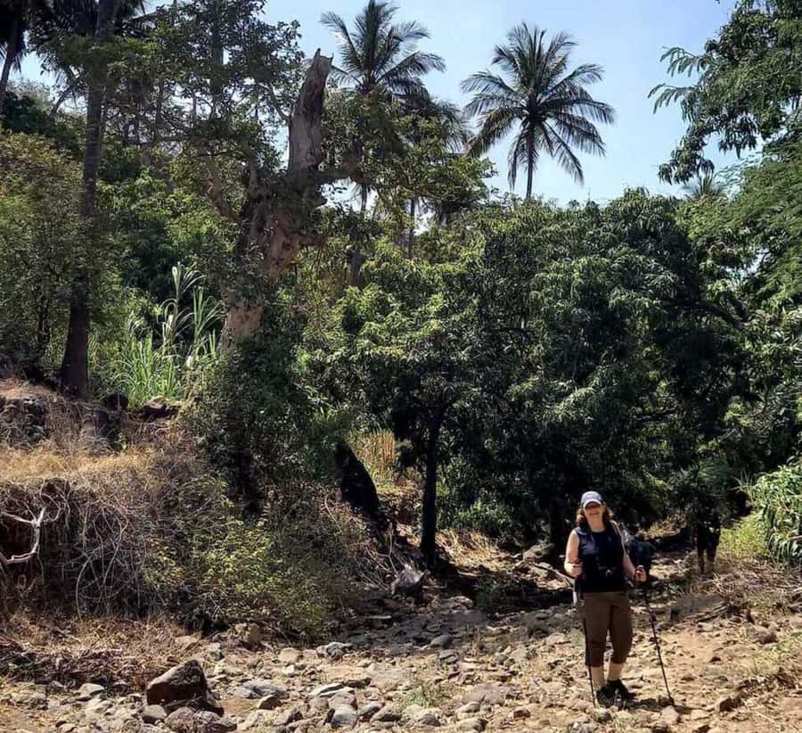 Praia: Baobab Mysterious Tree, Green Valley & Old City Hike - Price and Value: Is $53 Fair for What You Get