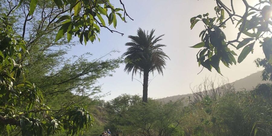Praia: Baobab Mysterious Tree, Green Valley & Old City Hike - Should You Book This Praia Hike to the Baobab and Cidade Velha?