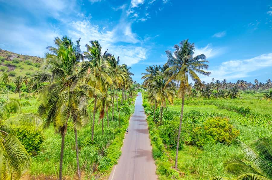 Praia: Day trip by minibus for cruise passengers - Key things to know before you go