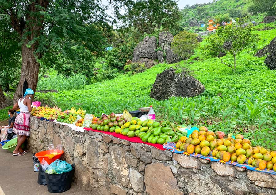 Praia: Santiago Island Tour with Tastings and Tarrafal Beach - Price and Value: Why $76 Can Make Sense for a One-Day Santiago Plan