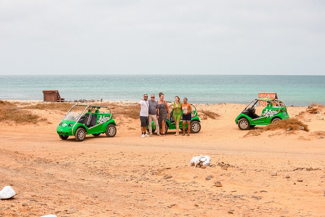 Private Guided Tour of Sal Island | Electric Car with Audio Guide - Key Highlights