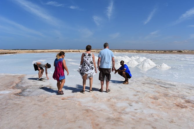 Private Sal Island Tour Authentic Experience from Santa Maria - Shark Bay: lemon sharks close up in their natural environment