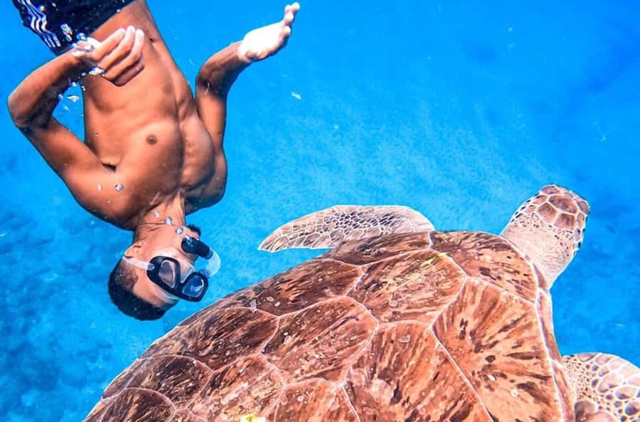 Private Snorkel Experience with Sea Turtle for Cruisers - São Vicente sea turtle snorkeling, minus the cruise-day chaos