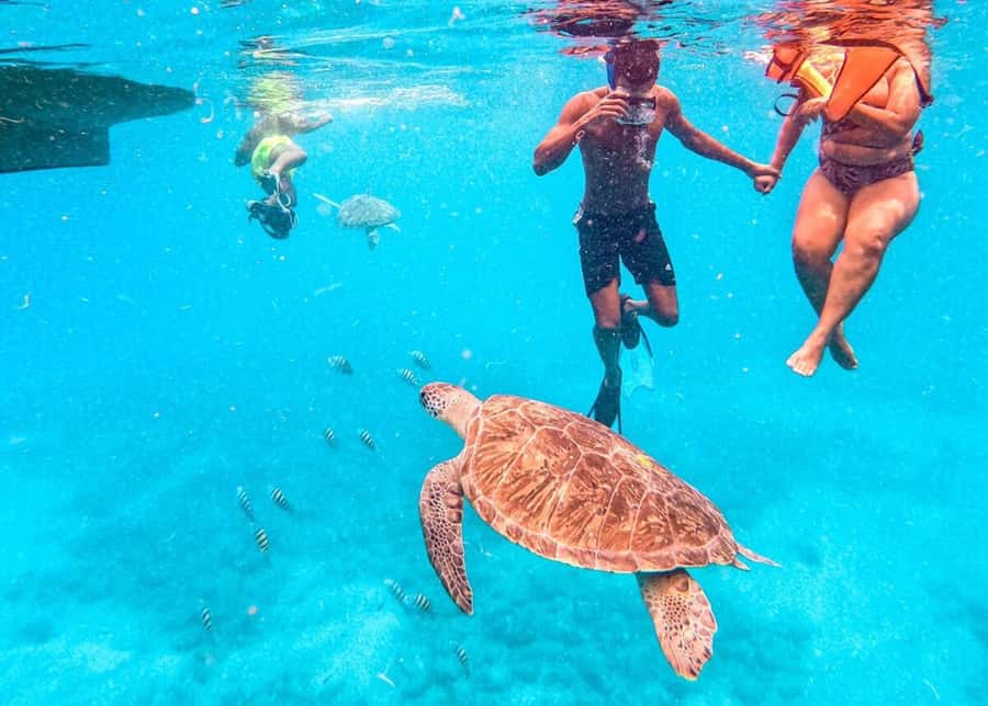 Private Snorkel Experience with Sea Turtle for Cruisers - Where you start: Port of Mindelo pickup and smooth handoff