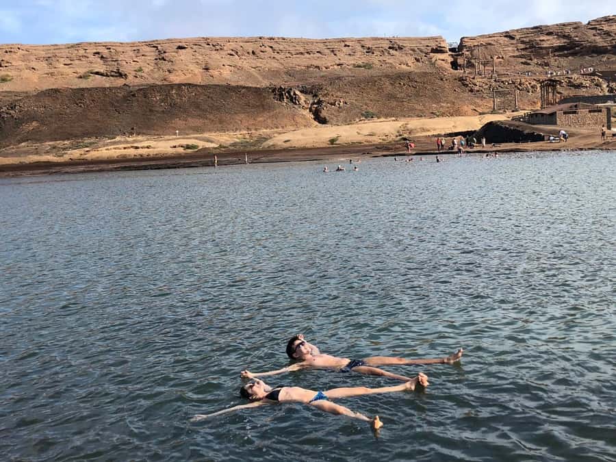 Sal: All inclusive Salt Lake, Natural pools and Shark Bay - Shark Bay and lemon sharks up close, safely