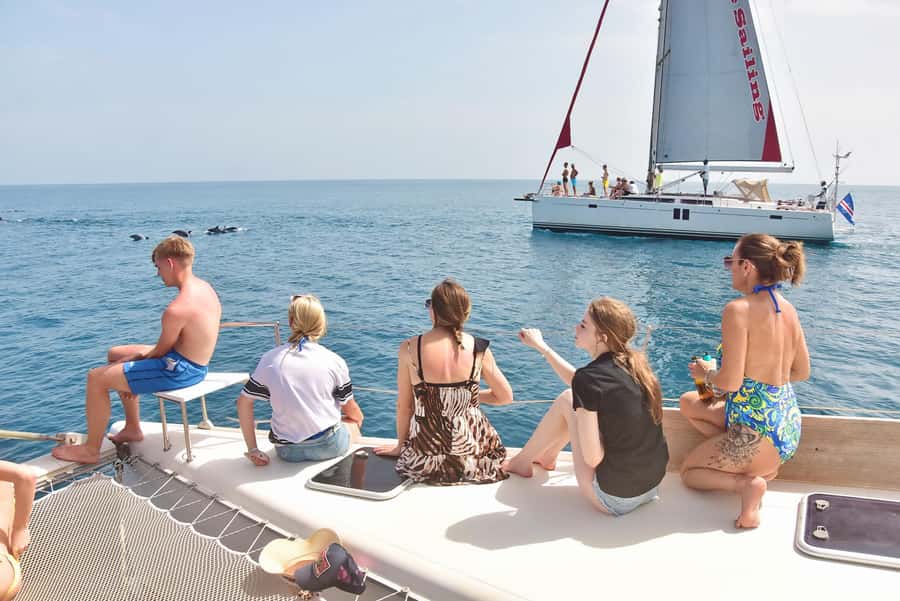 Sal, Cape Verde: Half day on Cuba Libre sailing yacht - Wildlife spotting that actually feels plausible