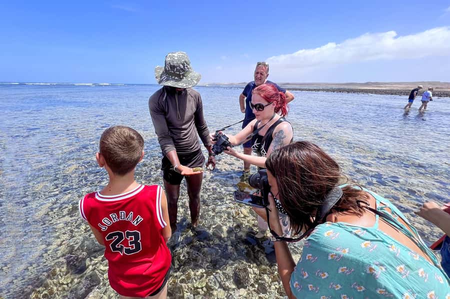 Sal Discovery: A Guided Small Group Island Tour - Price and Value: What the € and $ Add Up To for a Full Day of Signature Stops