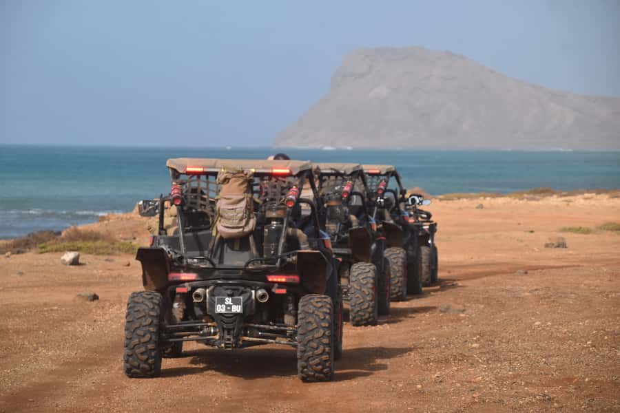 Sal Island: 4-Hour Buggy Island Tour - Shark Bay lemon sharks: calm watching in their natural home