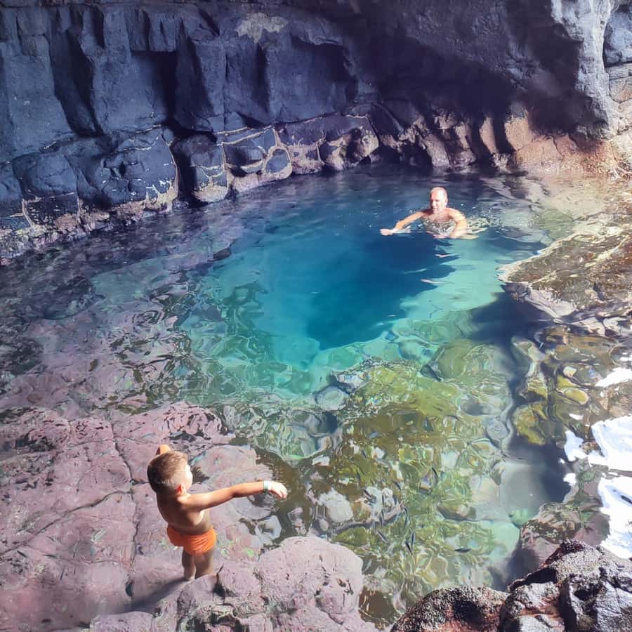 Sal: Island Experience Tour with a Certified Local Guide - Shark Bay lemon sharks: the wildlife stop that earns its hype