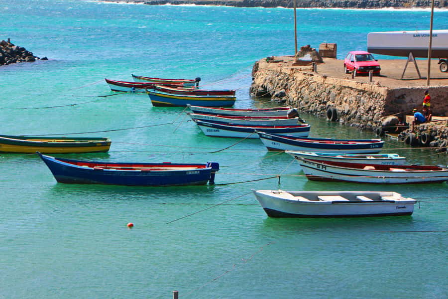 Sal island : Full day excursion Salinas, Shark Bay, Blue Eye - Key highlights worth knowing