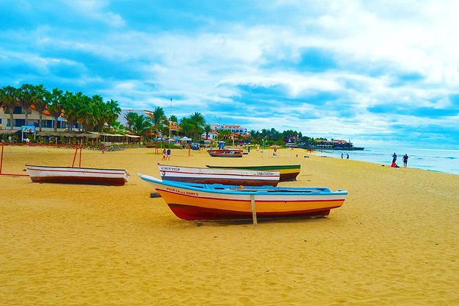 Sal Island: Full-day Private Experience with Local Guide - Why this Sal Island private day makes sense for first-timers