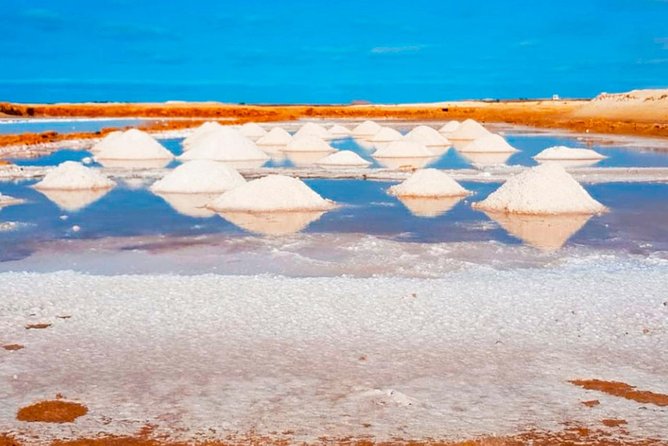 Sal Island: Guided Full-Day Highlights Tour with Lunch - Key highlights at a glance