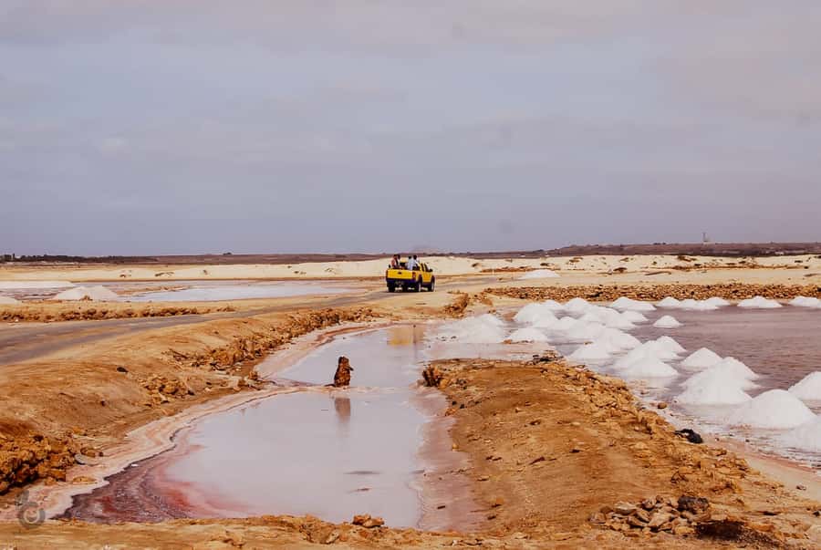 Sal island: Guided Historical and Cultural Tour - Amílcar Cabral Airport pass-by and how Cape Verde’s aviation shaped the island