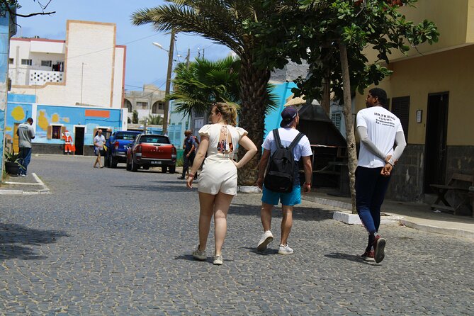 Sal Island, Salinas, Buracona and Lemon Shark - Terra Boa desert mirage: a short stop with big “what am I seeing” payoff